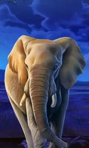 African Elephant