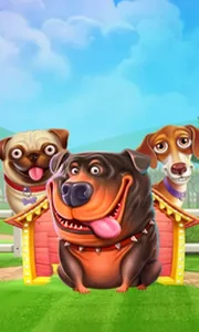 The Dog House