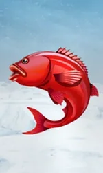 Ice Fishing